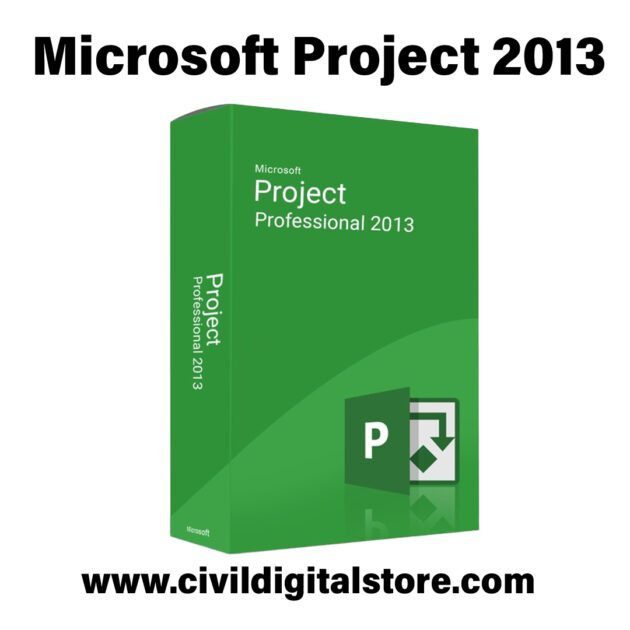 Microsoft Project 2013